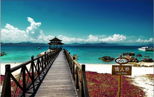 好呀手工巧克力