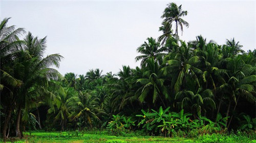 奶茶店打工需要什么证吗，奶茶店打工需要什么证件