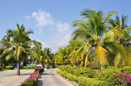 淮滨县开一家奶茶店要投多少钱，在淮滨县加盟SWEET CUP甜杯开店有哪些优惠