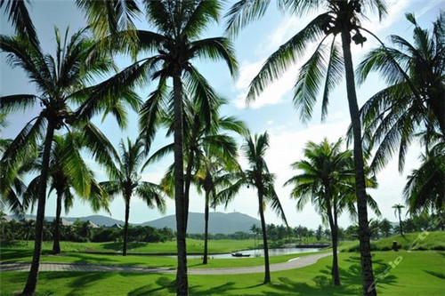 鸿远牛肉馆加盟费多少