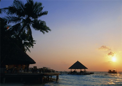 书架音箱加盟创业选择哪家项目受欢迎