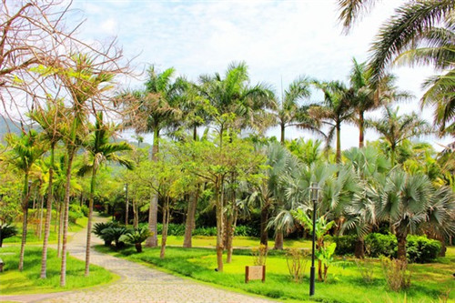 阿乐制茶2025年还可以在桐城市加盟吗，桐城市奶茶创业是加盟的好还是自己开店好