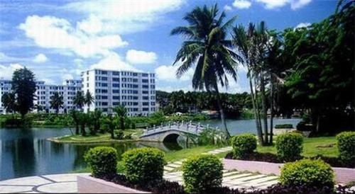 明天我们就要毕业作文（明天我们即将毕业作文）