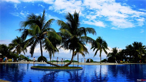 纯白装修应该配什么家具（纯白的装修）