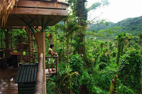 周末装修可以告业主吗（周末装修可以起诉吗）